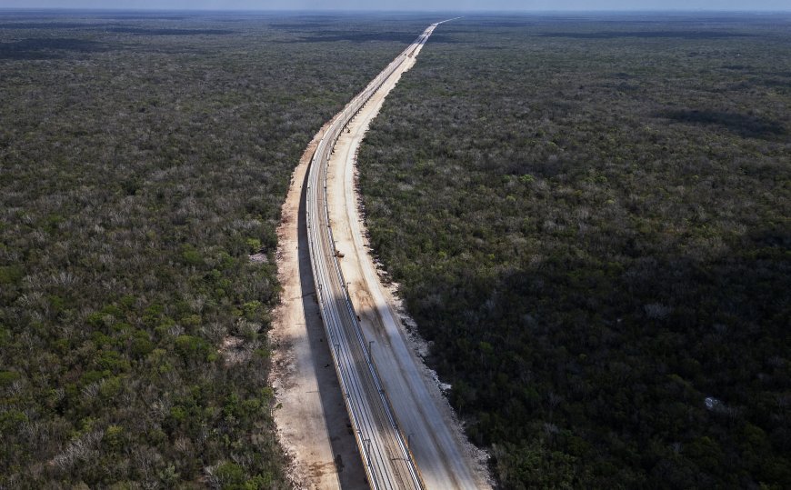 Environmental activists call the Mexico tourist train a "nightmare"