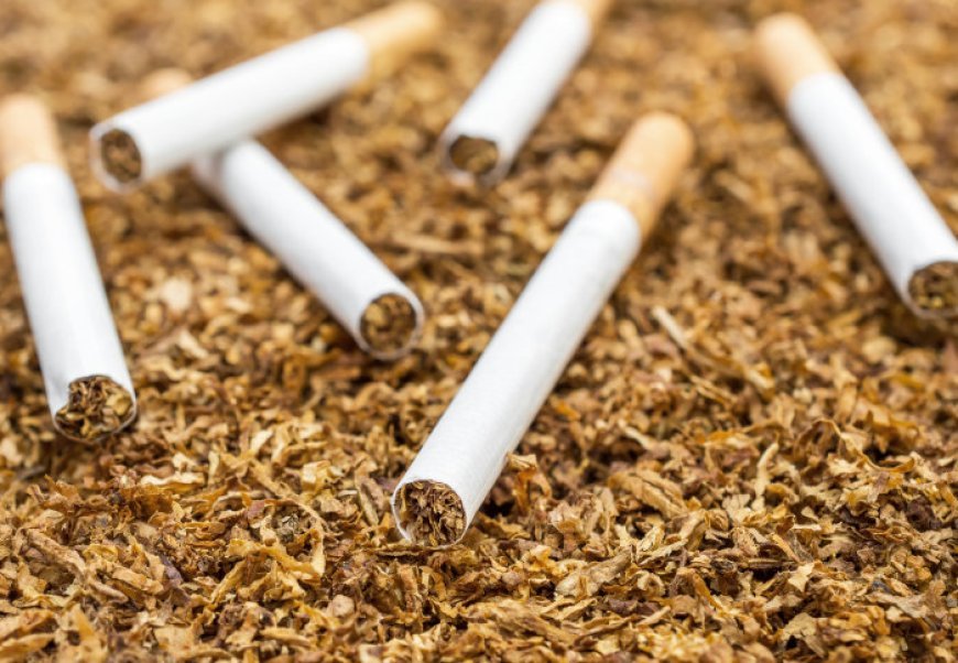 U.K. Legislators supports anti-smoking, bringing closer to an eventual ban on all tobacco sales