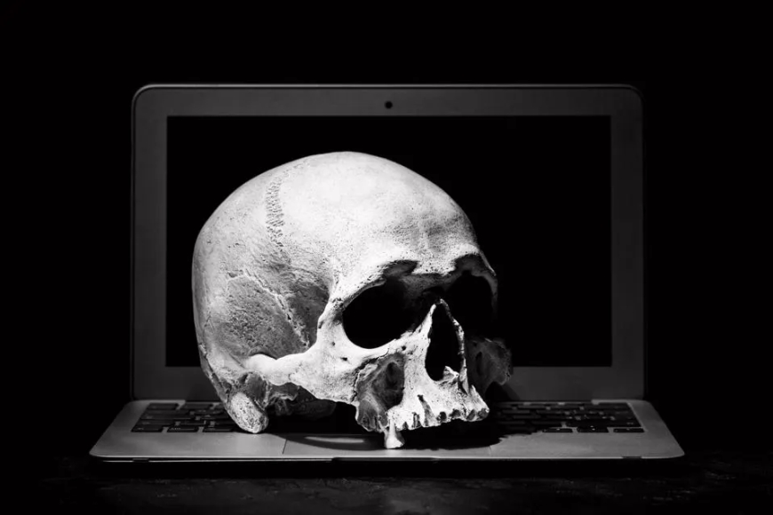 The Dead internet theory